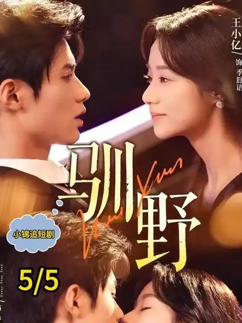 55影视热播剧潮汐信号海报